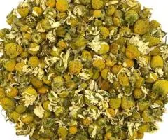 Vânzarea cu ridicată a Mușețel officinalis direct de la producător la prețuri optime