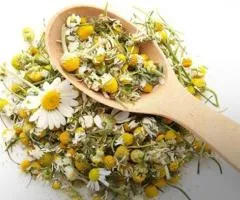 Vânzarea cu ridicată a Mușețel officinalis direct de la producător la prețuri optime - 2