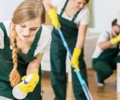 Professional cleaning services - 5