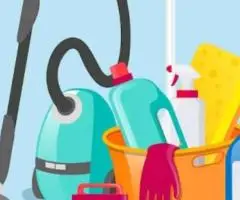 professional cleaning services - 7